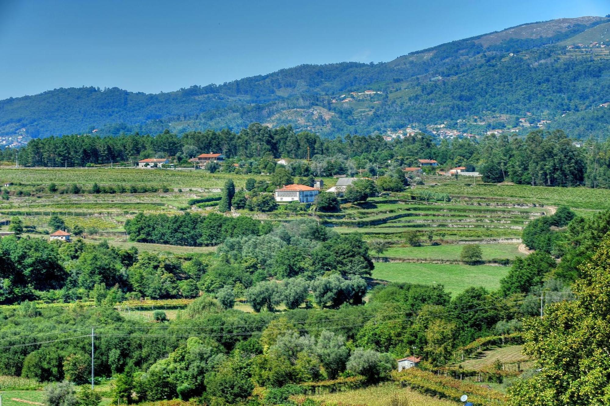 Quinta De Luou Βίλα Santa Cruz do Lima Εξωτερικό φωτογραφία
