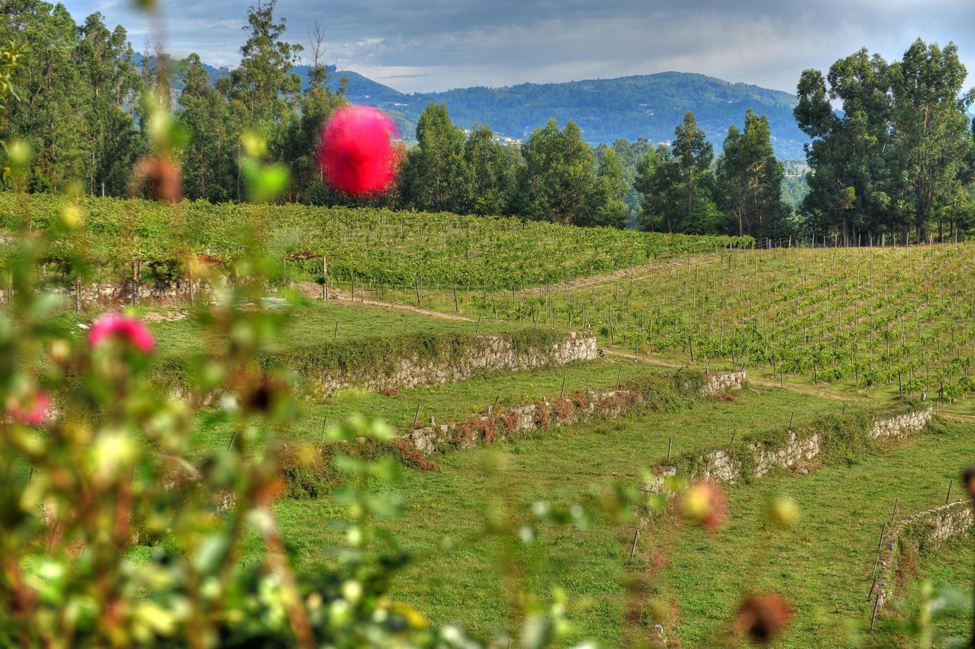 Quinta De Luou Βίλα Santa Cruz do Lima Εξωτερικό φωτογραφία
