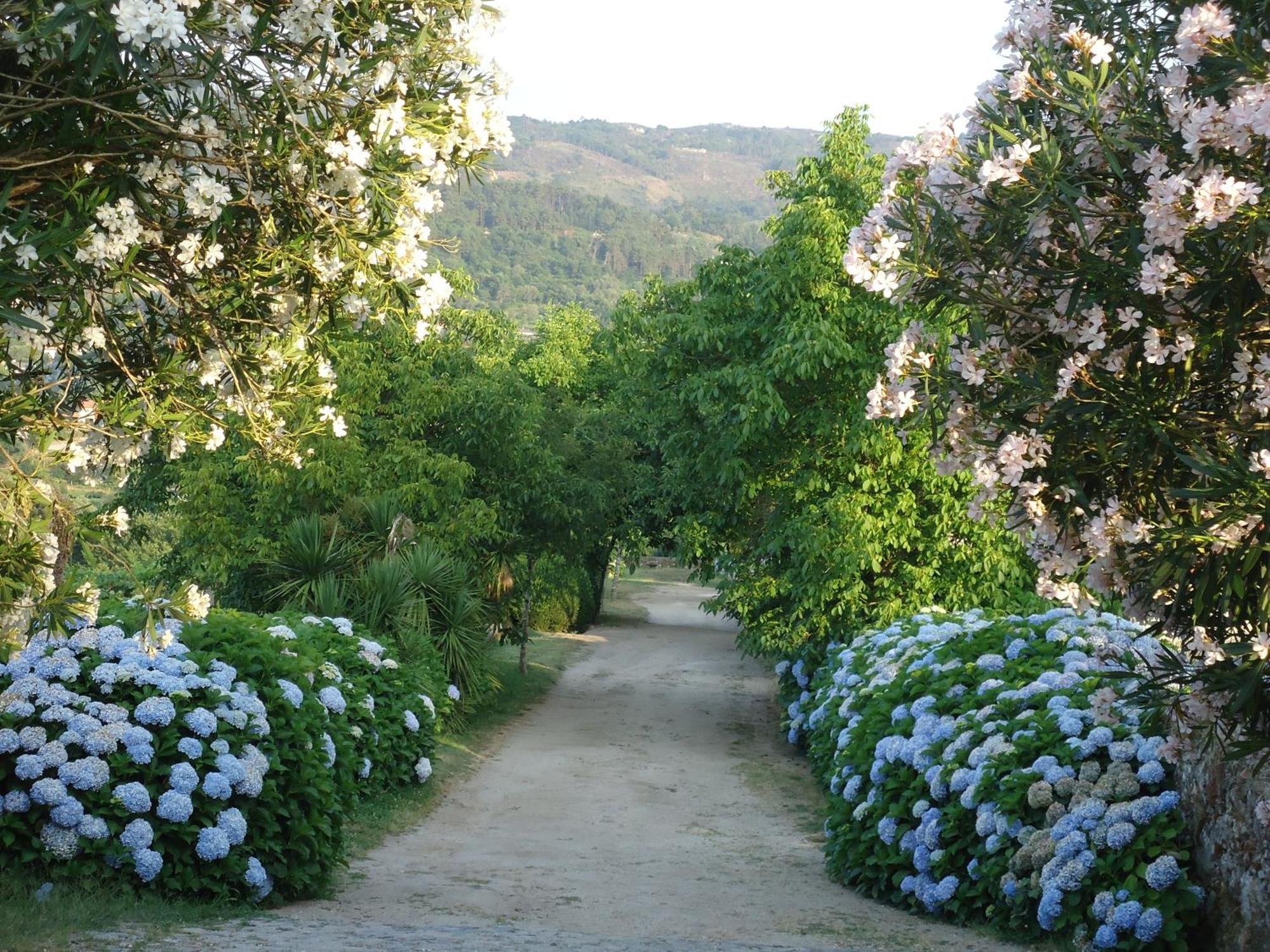 Quinta De Luou Βίλα Santa Cruz do Lima Εξωτερικό φωτογραφία
