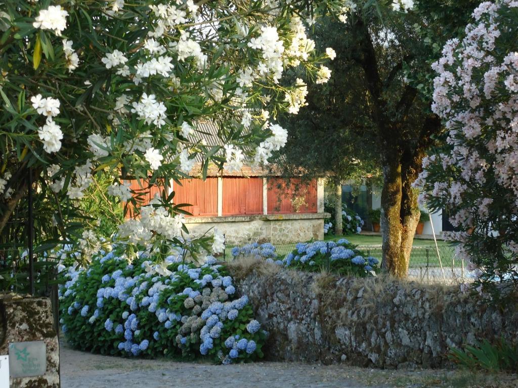 Quinta De Luou Βίλα Santa Cruz do Lima Δωμάτιο φωτογραφία